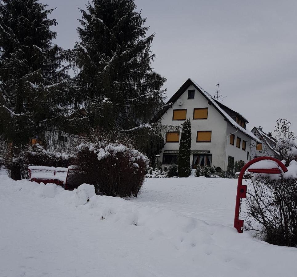 Am Wehrastrand App 4 Todtmoos Exterior photo